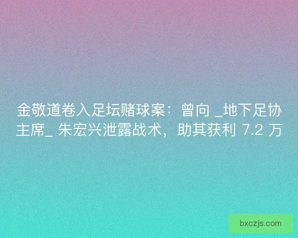 金敬道卷入足坛赌球案：曾向 _地下足协主席_ 朱宏兴泄露战术，助其获利 7.2 万