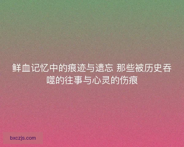 鲜血记忆中的痕迹与遗忘 那些被历史吞噬的往事与心灵的伤痕