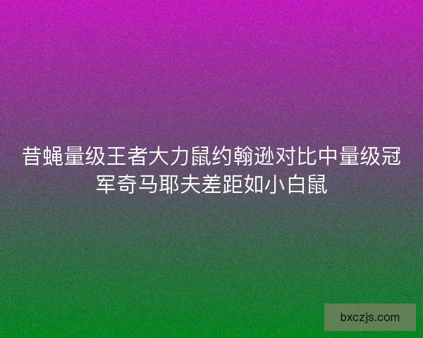 昔蝇量级王者大力鼠约翰逊对比中量级冠军奇马耶夫差距如小白鼠